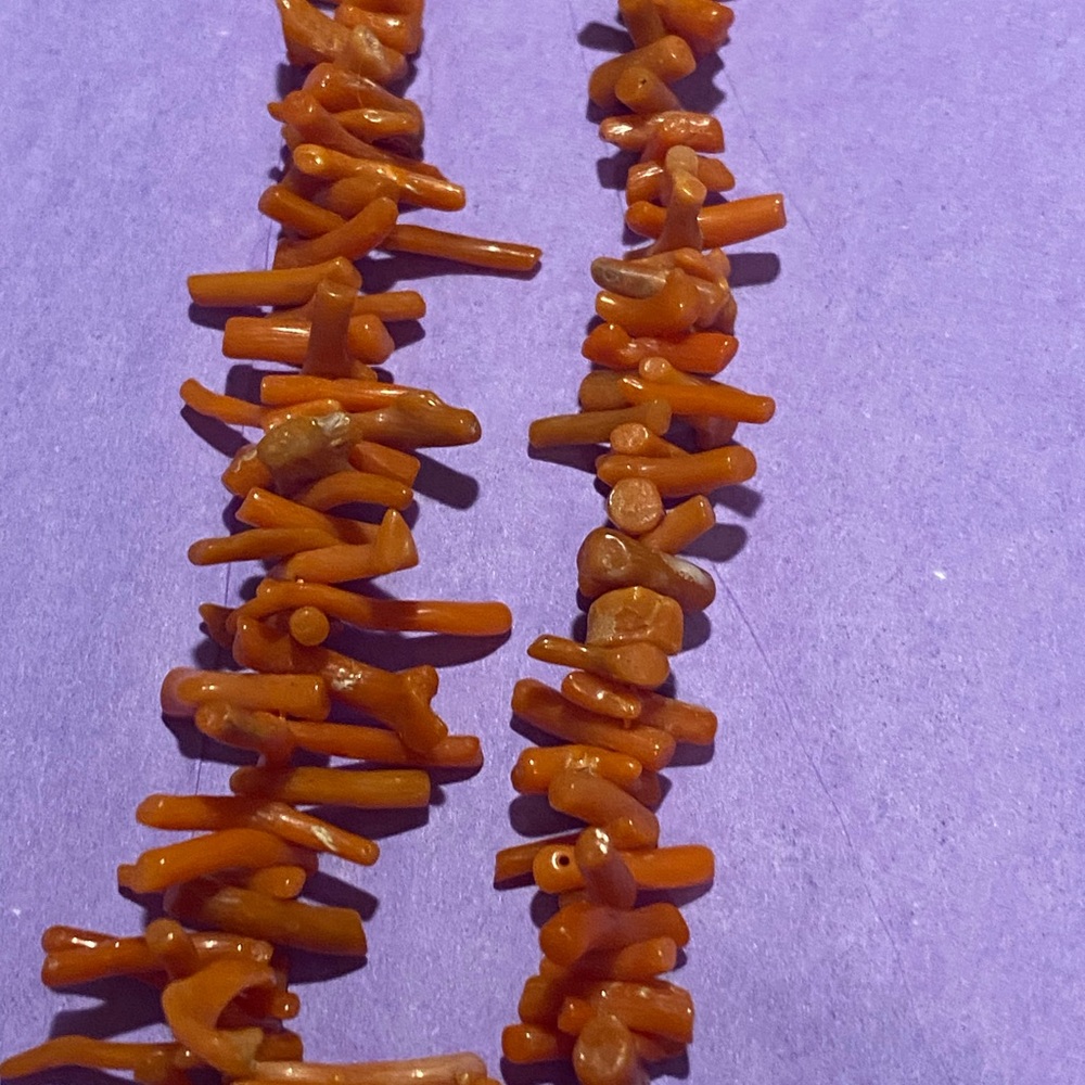 Native coral necklace